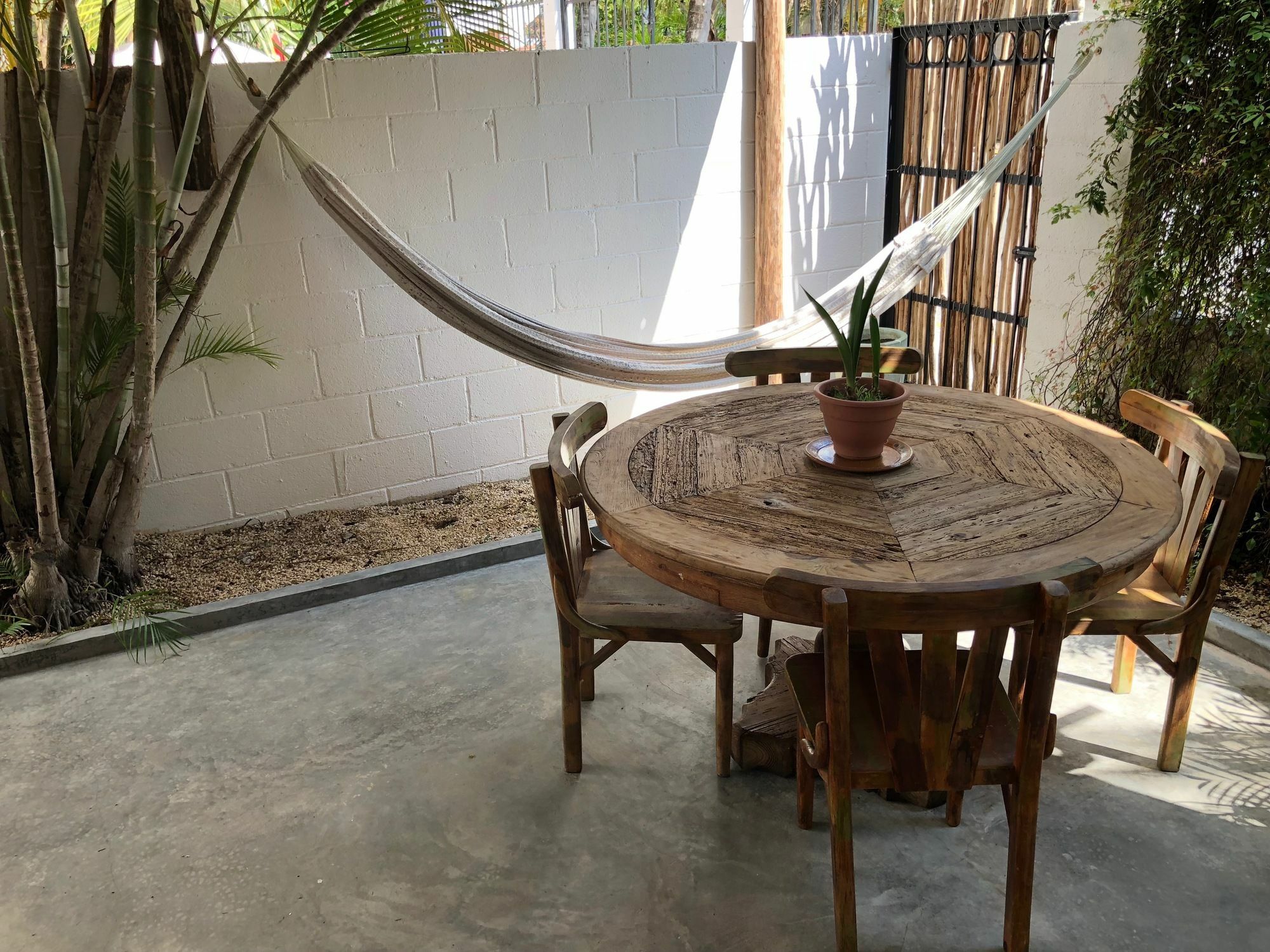 Casa La Palma B&B Playa del Carmen Exteriér fotografie